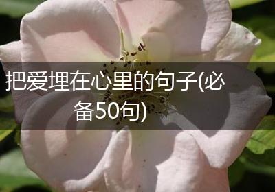 把爱埋在心里的句子(必备50句)