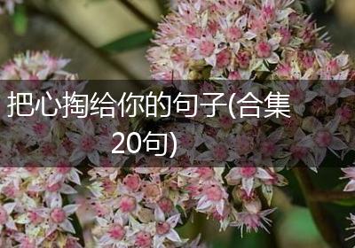 把心掏给你的句子(合集20句)
