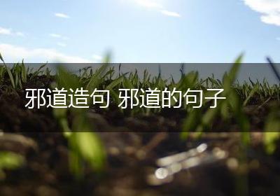 邪道造句 邪道的句子