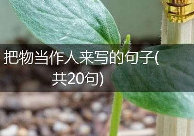 把物当作人来写的句子(共20句)