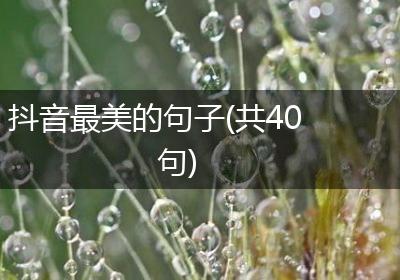 抖音最美的句子(共40句)
