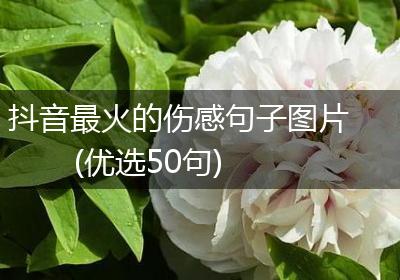 抖音最火的伤感句子图片(优选50句)