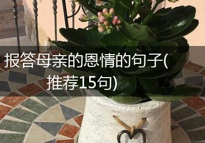 报答母亲的恩情的句子(推荐15句)