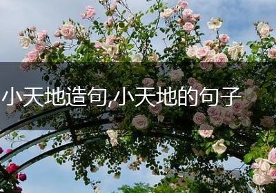 小天地造句,小天地的句子