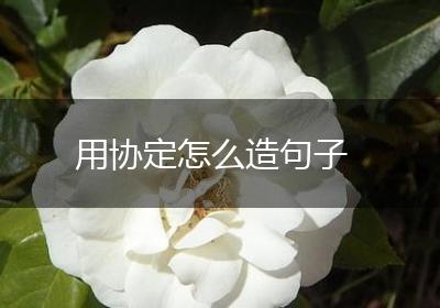 用协定怎么造句子