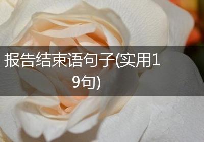 报告结束语句子(实用19句)