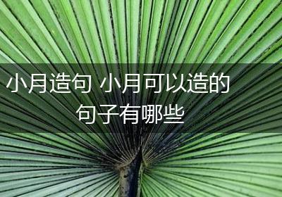 小月造句 小月可以造的句子有哪些