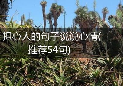 担心人的句子说说心情(推荐54句)