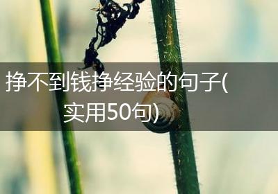 挣不到钱挣经验的句子(实用50句)