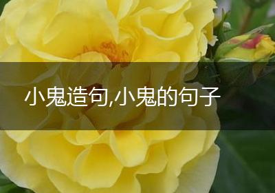 小鬼造句,小鬼的句子