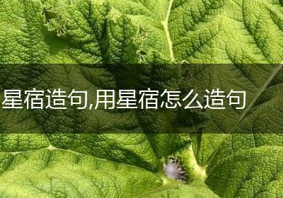 星宿造句,用星宿怎么造句