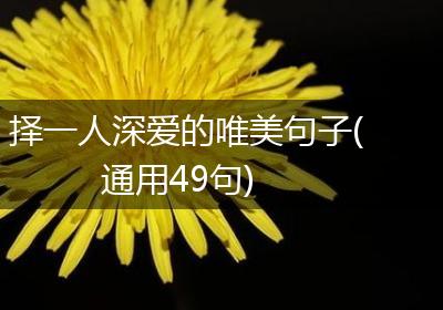 择一人深爱的唯美句子(通用49句)