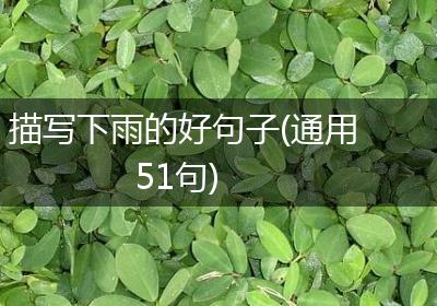 描写下雨的好句子(通用51句)