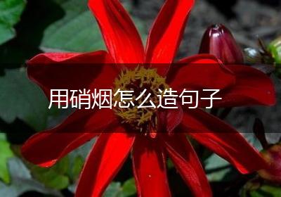 用硝烟怎么造句子