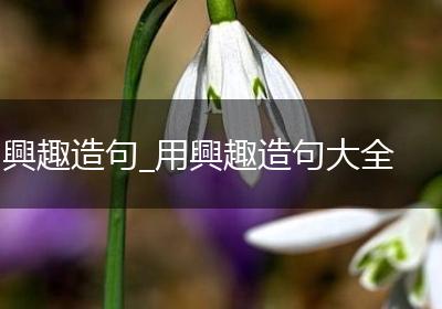興趣造句_用興趣造句大全