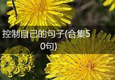 控制自己的句子(合集50句)
