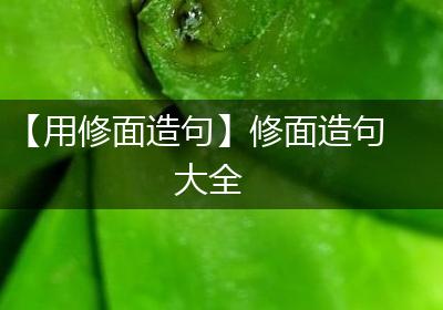 【用修面造句】修面造句大全