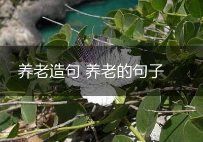 养老造句 养老的句子