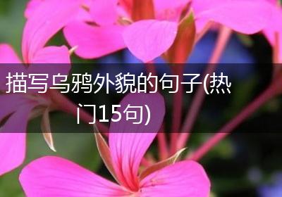 描写乌鸦外貌的句子(热门15句)