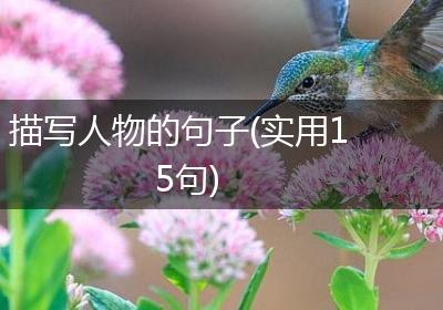 描写人物的句子(实用15句)