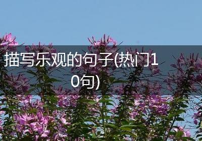 描写乐观的句子(热门10句)