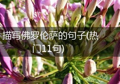 描写佛罗伦萨的句子(热门11句)