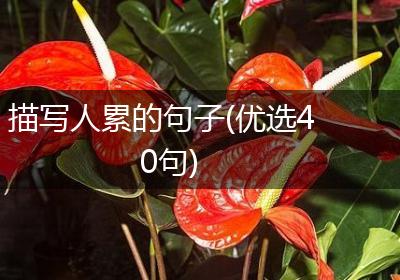 描写人累的句子(优选40句)