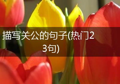描写关公的句子(热门23句)