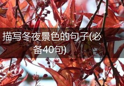 描写冬夜景色的句子(必备40句)