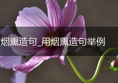 烟熏造句_用烟熏造句举例