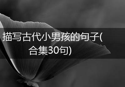 描写古代小男孩的句子(合集30句)