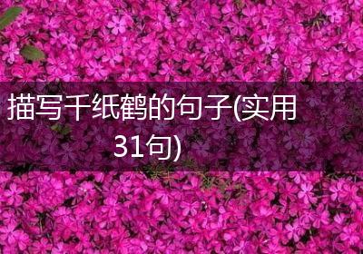 描写千纸鹤的句子(实用31句)