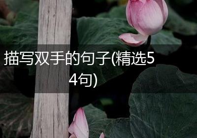 描写双手的句子(精选54句)