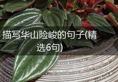 描写华山险峻的句子(精选6句)