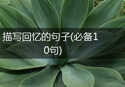 描写回忆的句子(必备10句)