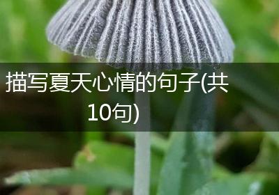 描写夏天心情的句子(共10句)