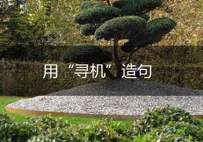 用“寻机”造句
