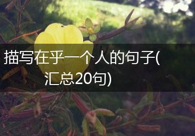 描写在乎一个人的句子(汇总20句)