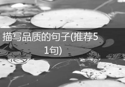 描写品质的句子(推荐51句)