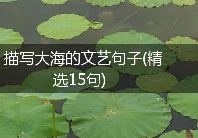 描写大海的文艺句子(精选15句)