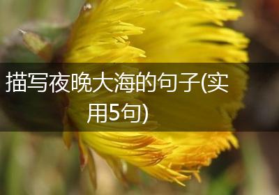 描写夜晚大海的句子(实用5句)