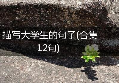 描写大学生的句子(合集12句)