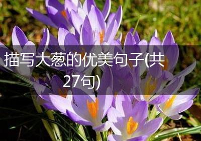 描写大葱的优美句子(共27句)