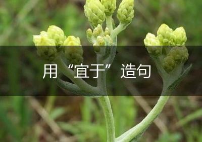 用“宜于”造句