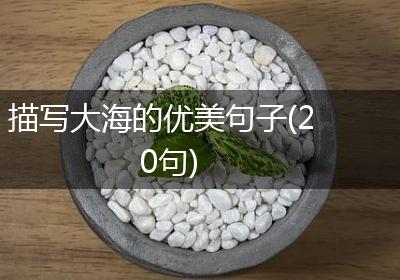 描写大海的优美句子(20句)