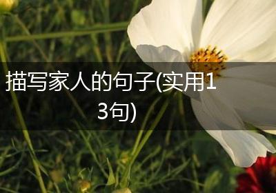 描写家人的句子(实用13句)
