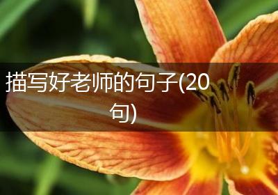 描写好老师的句子(20句)