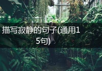 描写寂静的句子(通用15句)