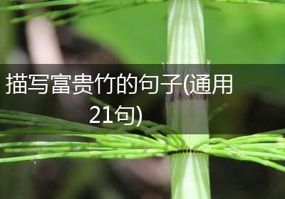 描写富贵竹的句子(通用21句)