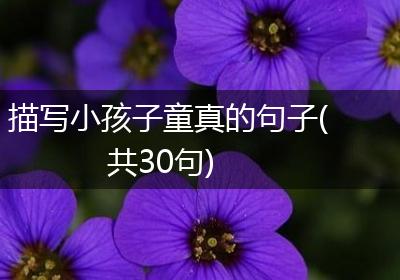 描写小孩子童真的句子(共30句)